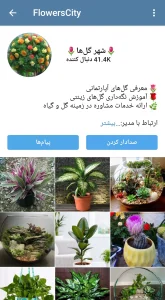 دانلود ایتا با لینک مستقیم Eitaa 7.1.0 【نصب و بروزرسانی جدید】