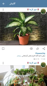 دانلود ایتا با لینک مستقیم Eitaa 7.1.0 【نصب و بروزرسانی جدید】